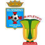 Club Atlético Palmaflor «